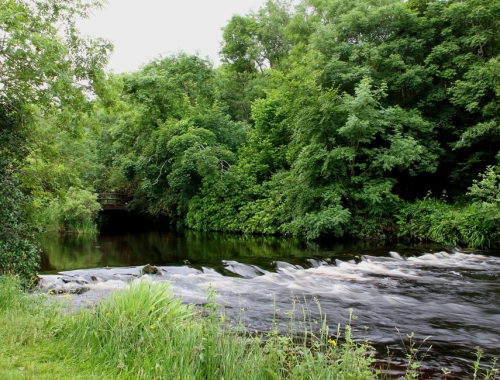 Salmon Fishing on the Drowes – The Drowes Salmon Fishery